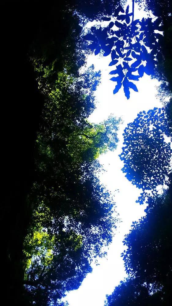 氨基酸水溶肥花后可以施肥吗?-专业百科问答知识网站!